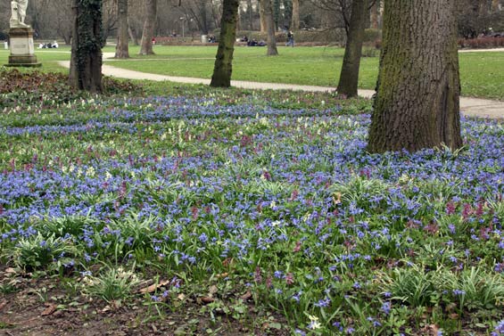 Botanischer Garten T&uuml;bingen