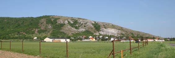 Lebensraum der M�rtelbiene