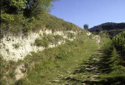 loesswand