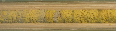 Osmia brevicornis - Larvenproviant