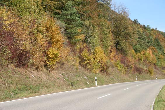 Stra�enb�schung im Neckartal