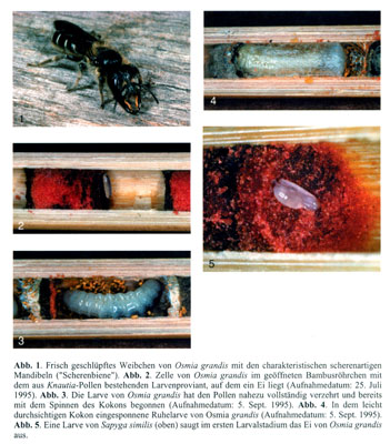 Farbtafel aus Publikation 64 Farbtafel aus Publikation 64