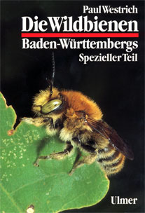 Vordere Umschlagseite der Wildbienen Baden-W&uuml;rttembergs Band 2