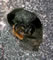 Osmia inermis