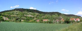 Hirschauer Berg im Mai 2009
