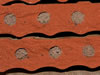 osmia_cornuta_nestverschluesse_08_9683_680_fs