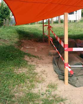 Sandkasten mit Nistplatz von Colletes hederae