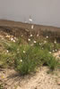 2006_1349-01_fs