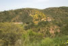 2006_1363-02_fs