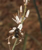 2006_1470-01_fs