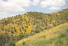 2006_1472-02_fs