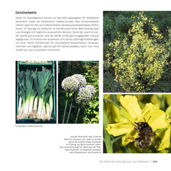 Westrich_Wildbienen-die-anderen-Bienen_109