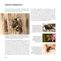 Westrich_Wildbienen-die-anderen-Bienen_198