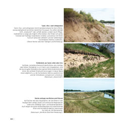 Westrich_Wildbienen-die-anderen-Bienen_44