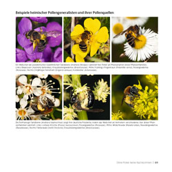 Westrich_Wildbienen-die-anderen-Bienen_69