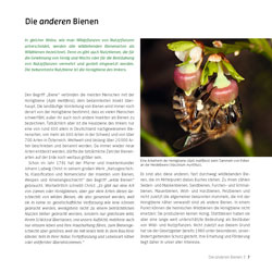 Westrich_Wildbienen-die-anderen-Bienen_9