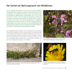 Westrich_Wildbienen-die-anderen-Bienen_85