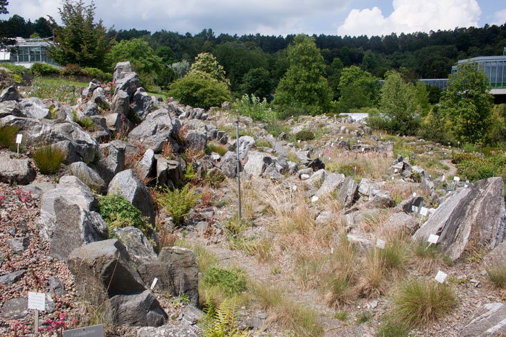 Alpinum_Botanischer_Garten