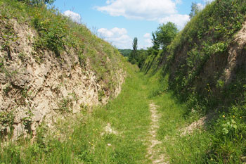 Hohlweg