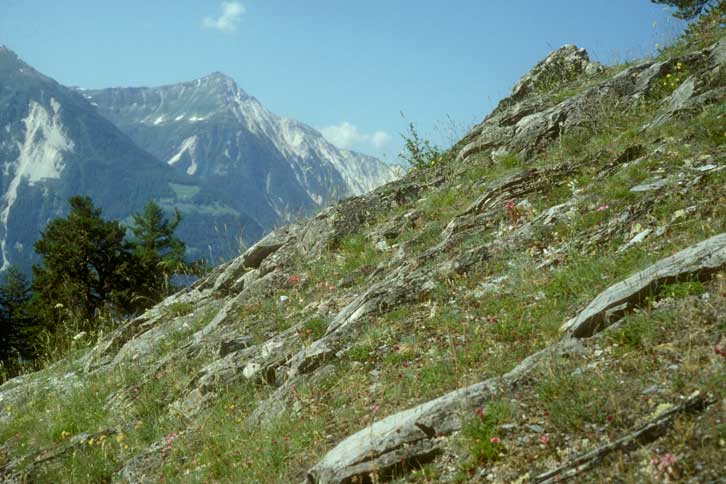Wallis, Felsensteppe