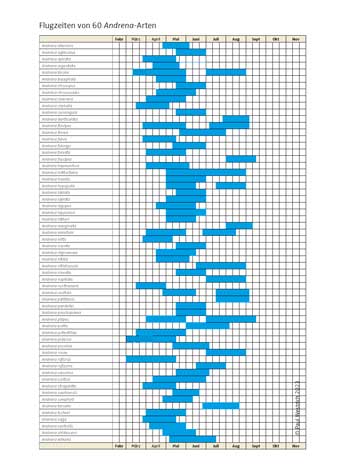 Flugzeiten von Andrena